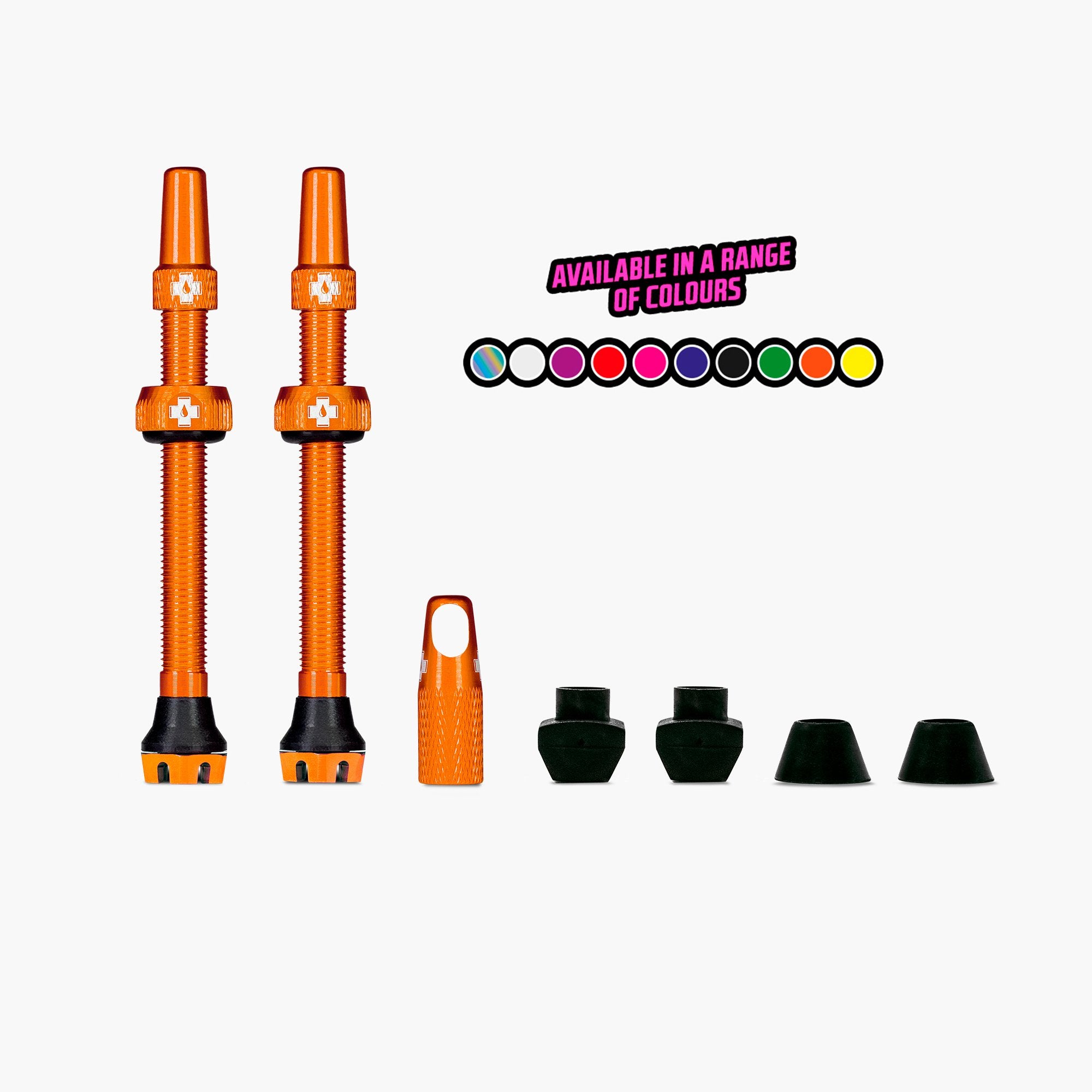 283316_3 283316_3