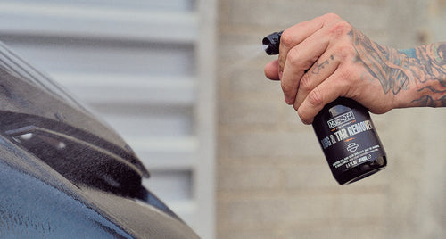 How Do You Remove Bugs from a Harley-Davidson®?