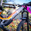 eBike Easy Rider
