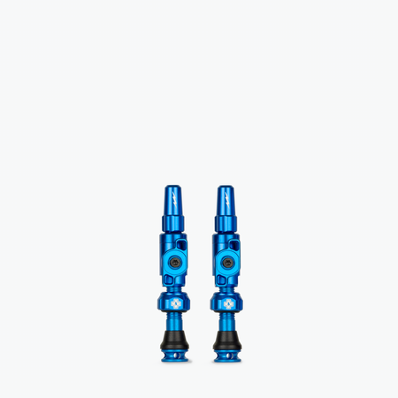 Big Bore Lite Tubeless Valves - Clearance Colours