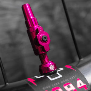 Big Bore Tubeless Valves